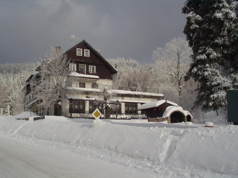 Orlice