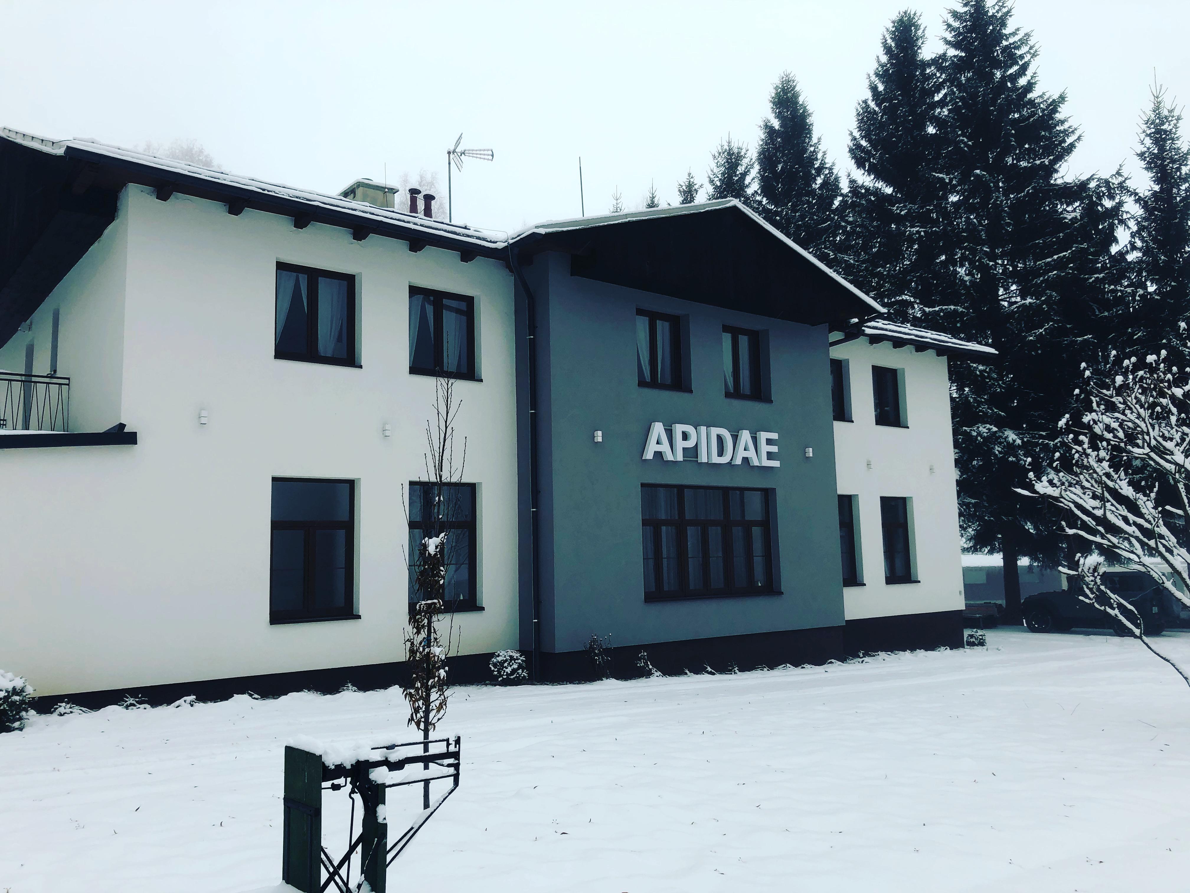 Apidae